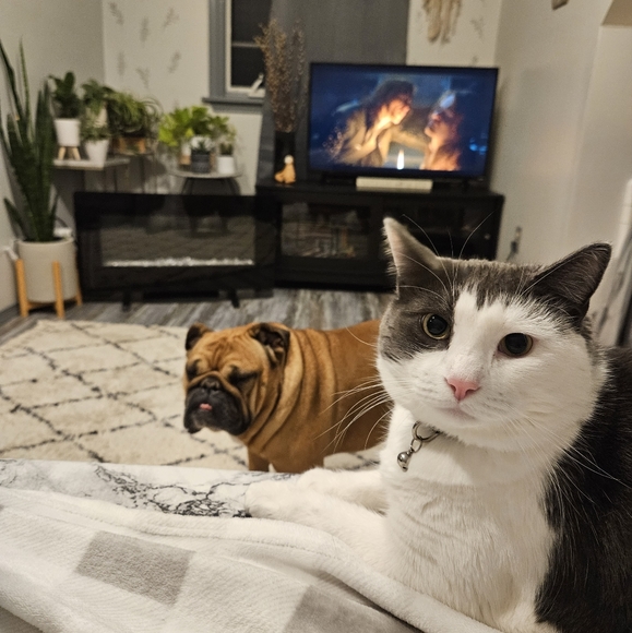 Meet your Posher, Samantha - Picture 2 of 2